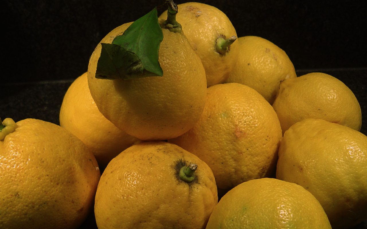 bergamot